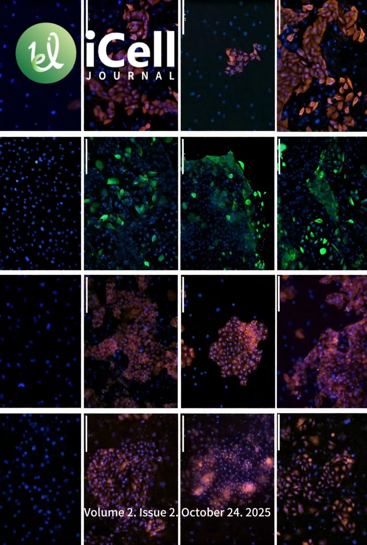 					View Vol. 2 No. 2 (2025): Volume 2, Issue 2
				